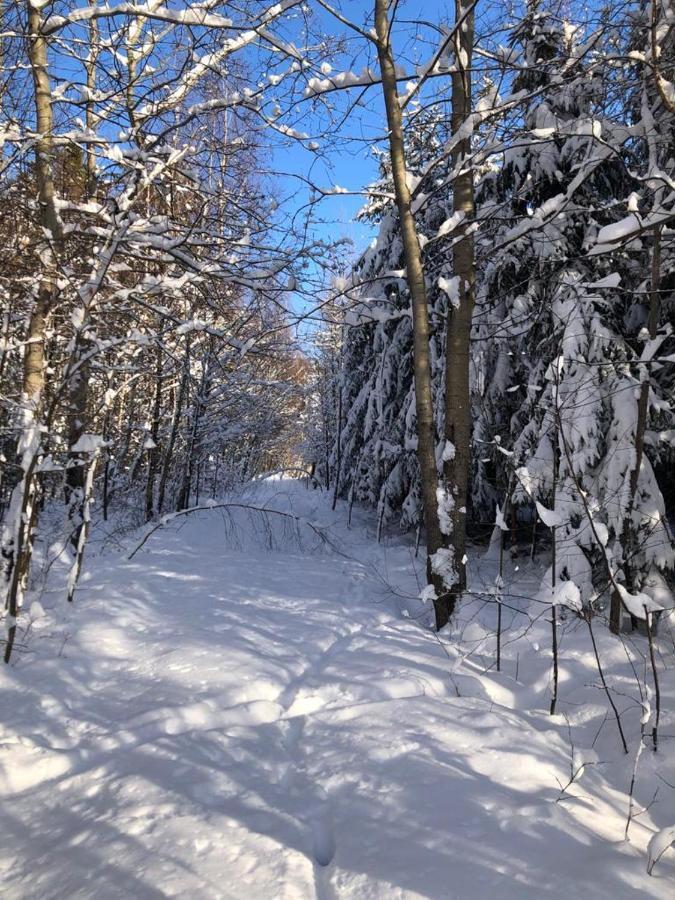 Wichrowe Wzgorze Villa Dynow Buitenkant foto